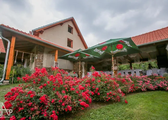 Landhuis Jonasuv Mlyn Zhor u Mlade Vozice